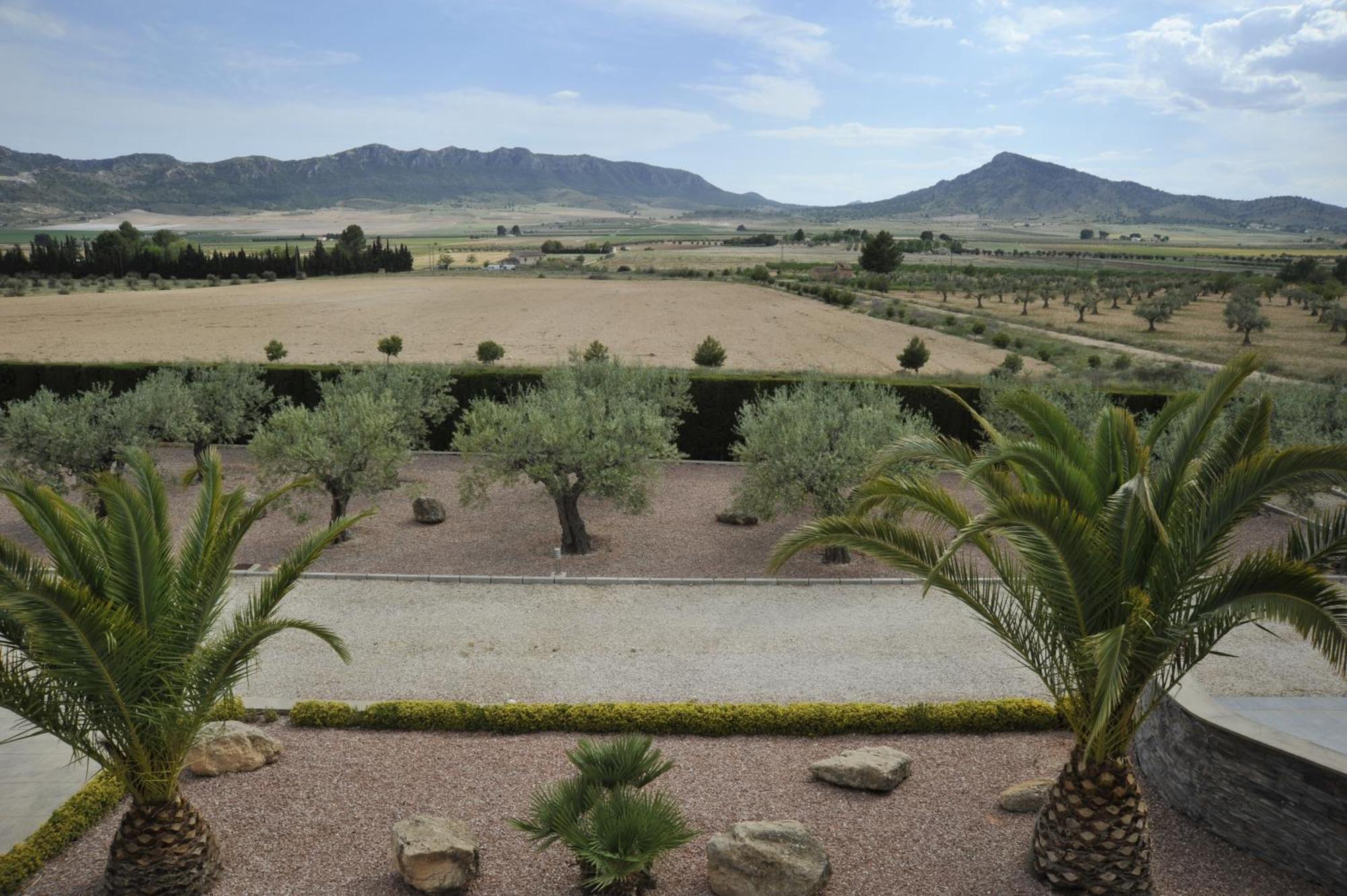 Villa Campo Premium Yecla Buitenkant foto
